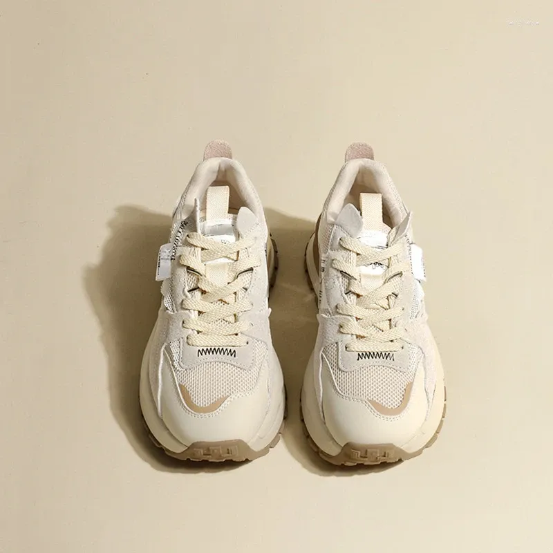 Beige regular