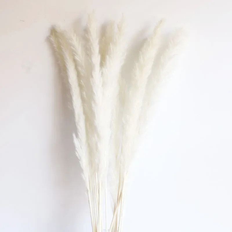 White10pcs