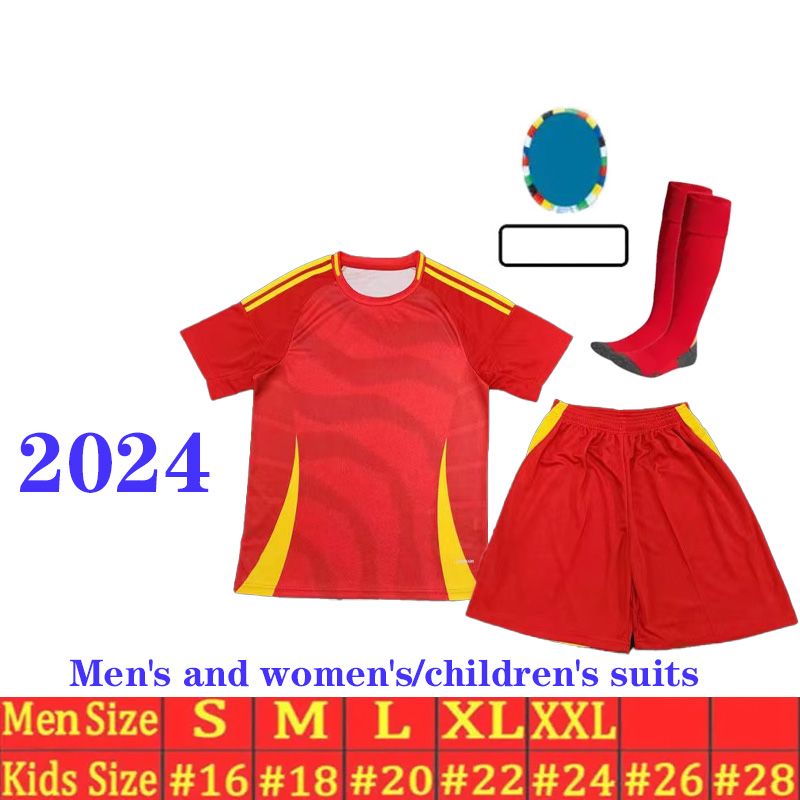 Home Full Kit 2024 Euro Patch