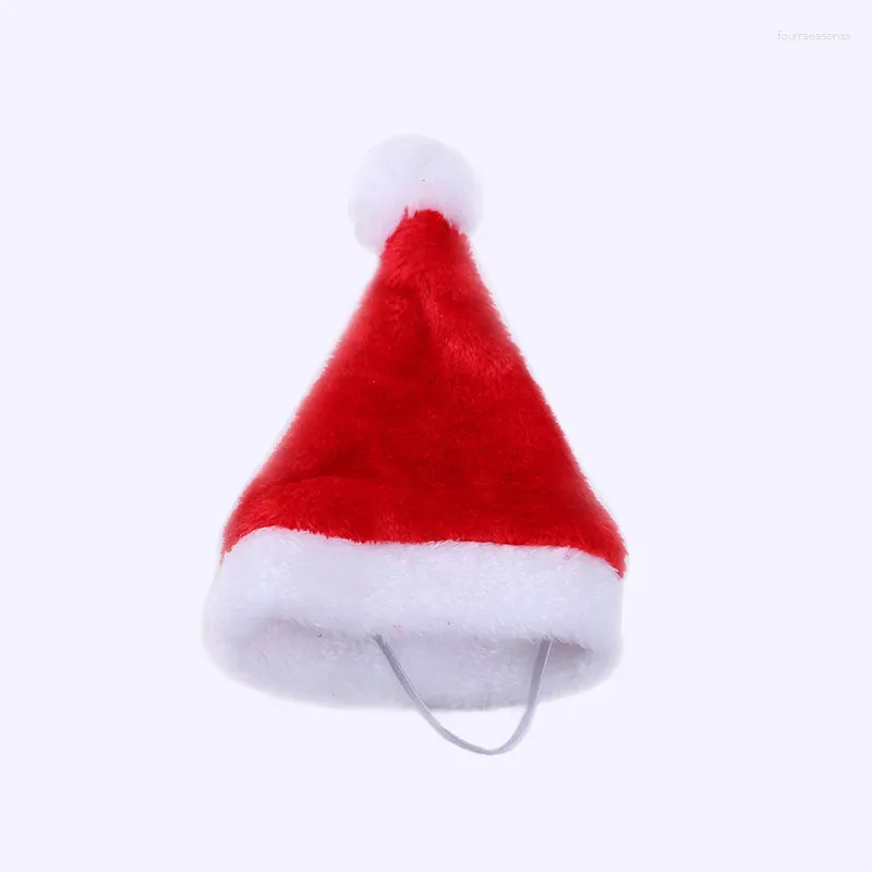 Christmas Hat