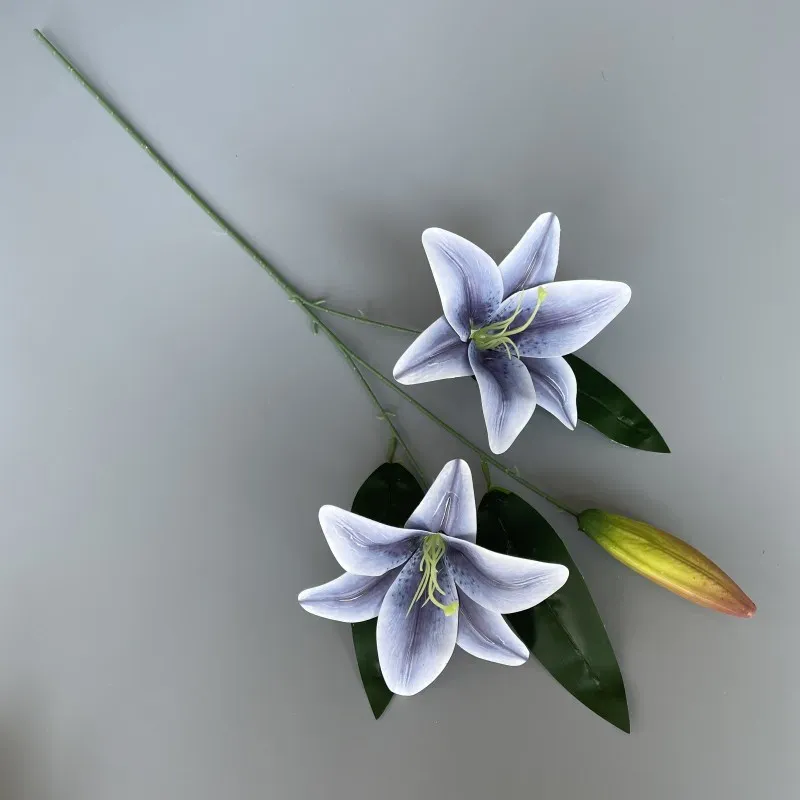 Blue lily