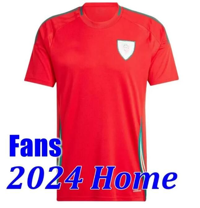 2024 Fans version home