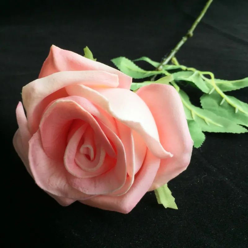 60 cm rose