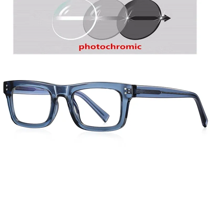 Photochromic Gray C5