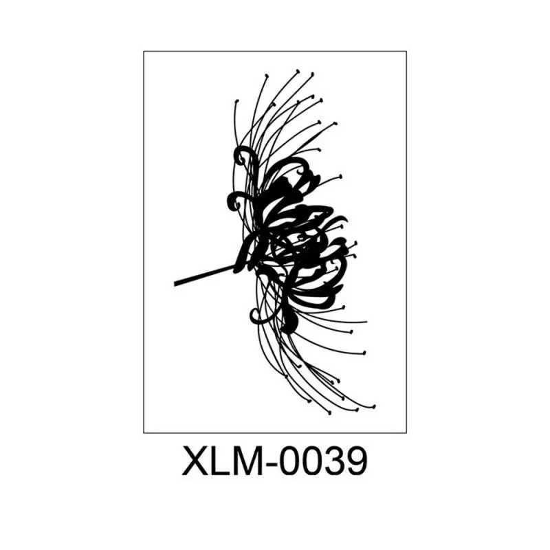 XLM-0039 110x160
