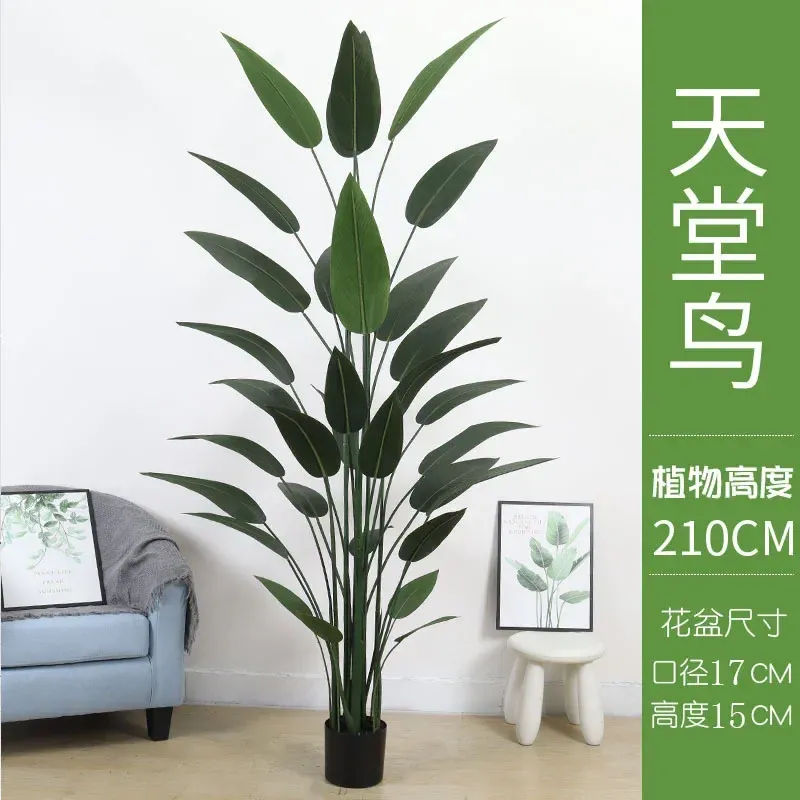 210cm-32 leaves