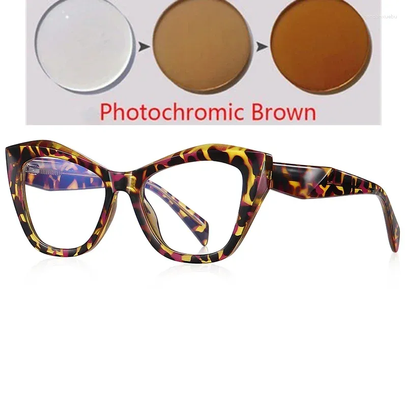 Photochromic Tea C3