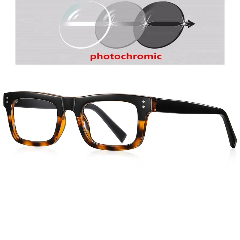 Photochromic Gray C6