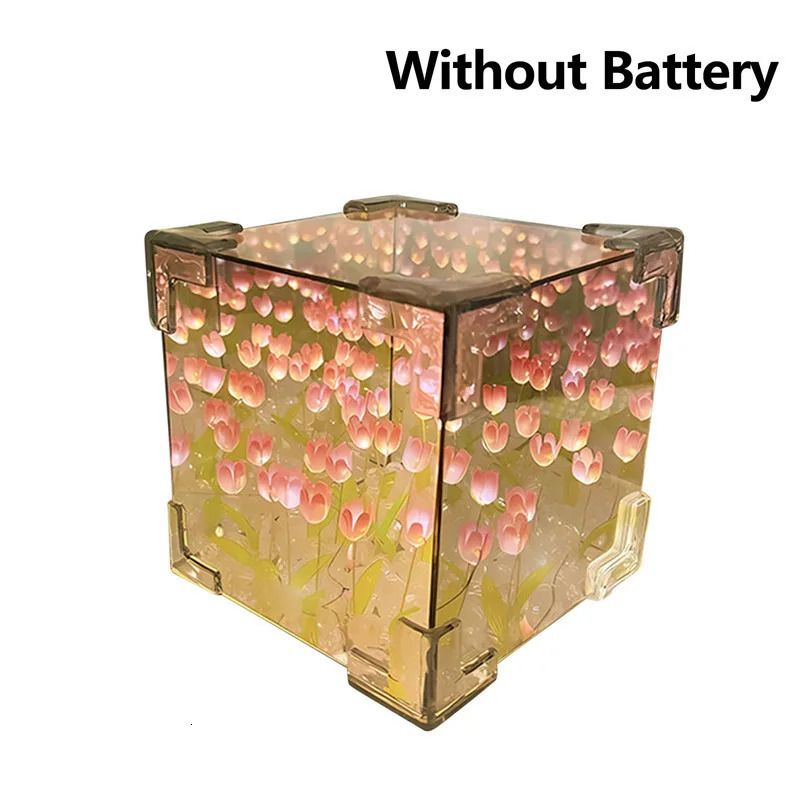 Without Battery-01