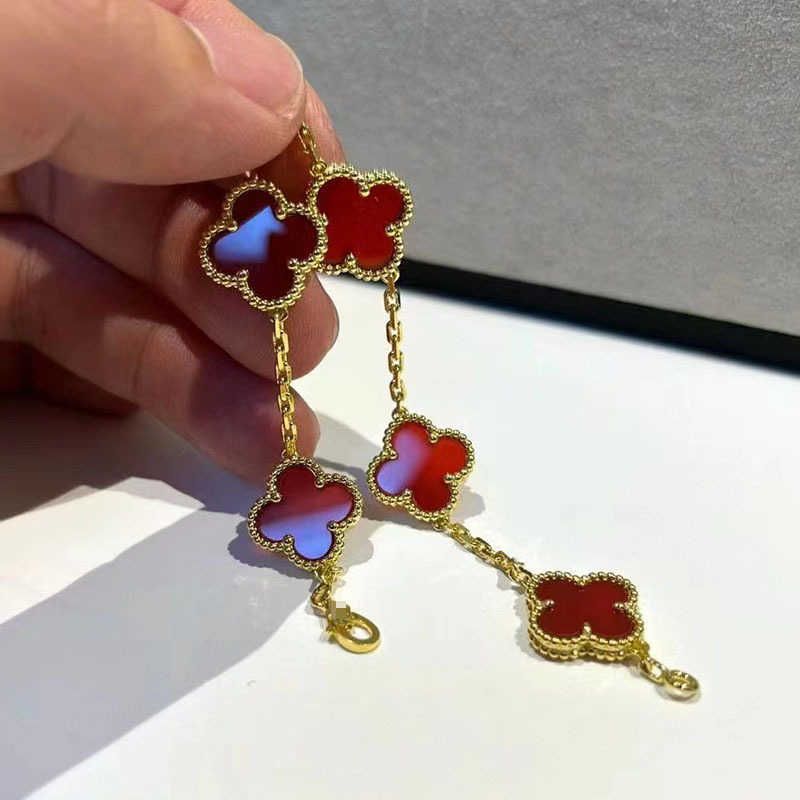 Agate rouge Gold-925 Silver