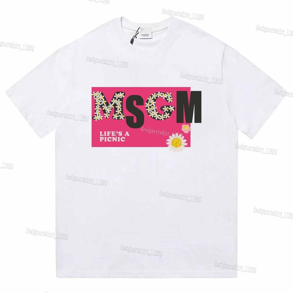 Msgm 27