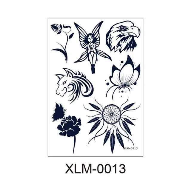 XLM-0013 110x160
