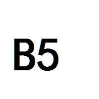 B5