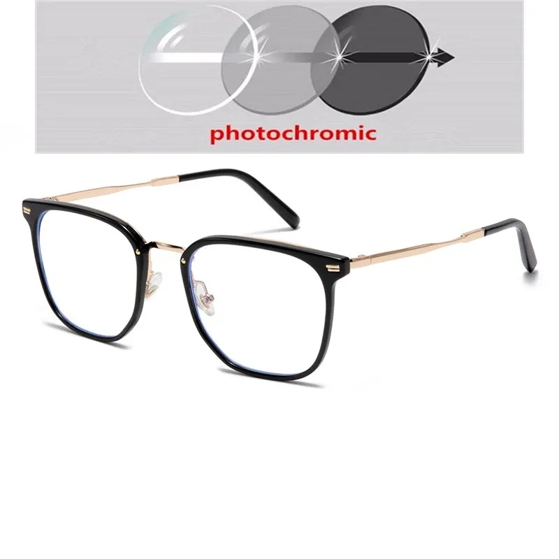 Photochromic Gray C1