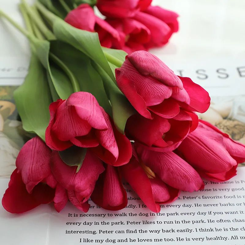 Rose Tulipe Rouge