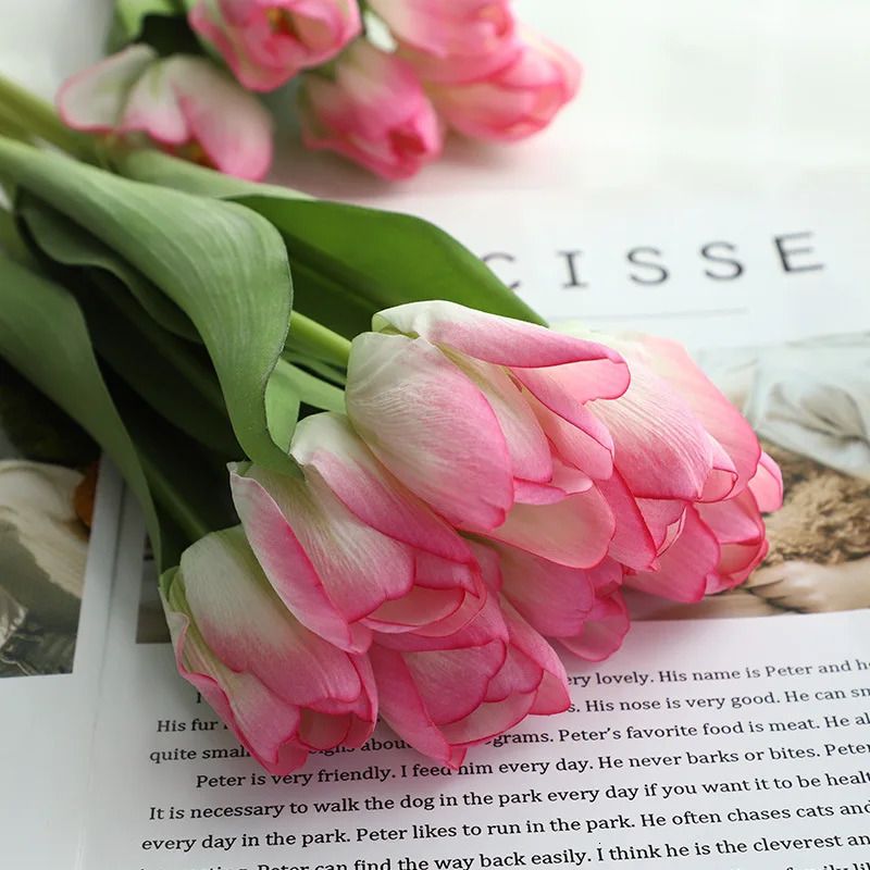 Tulipe blanche rose