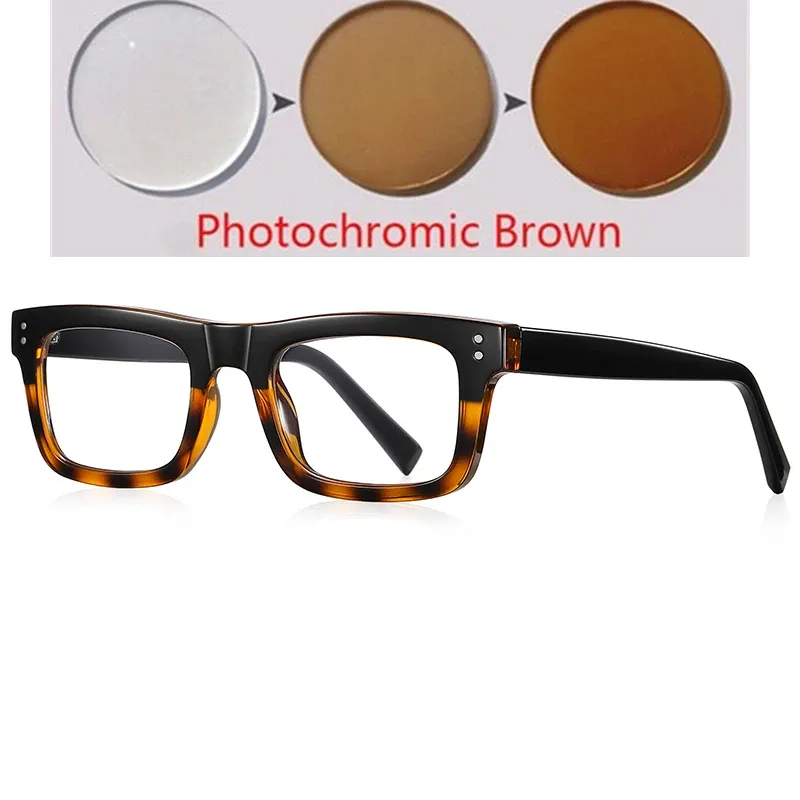 Photochromic Tea C6