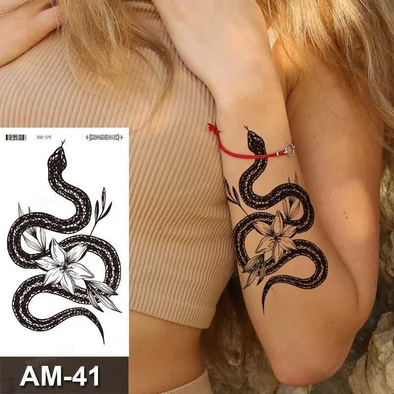 AM41.