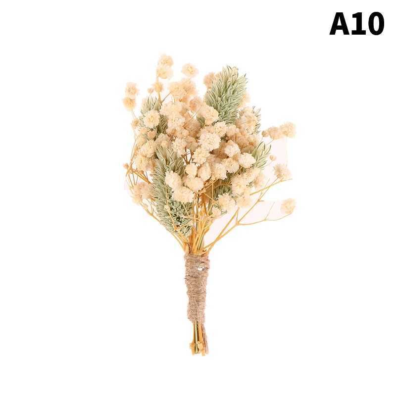 A11