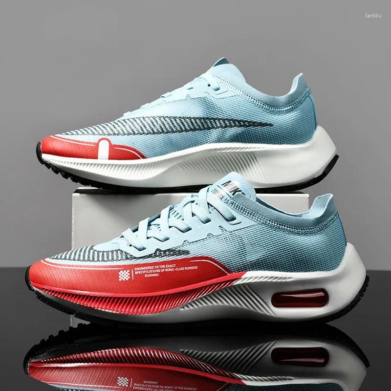 Red Blue 9902