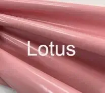 Lotus root color