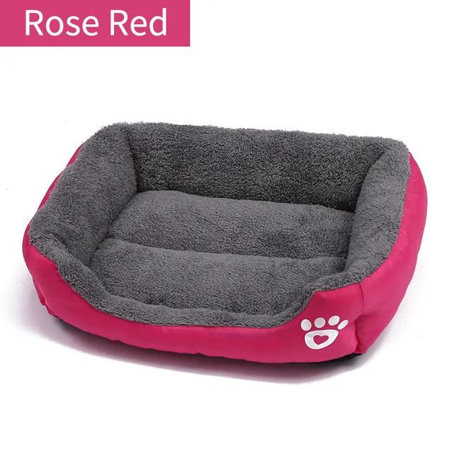 Rosa rosso