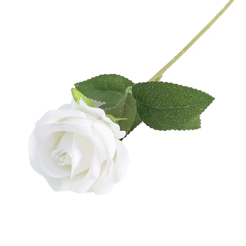 Pearl Rose-White