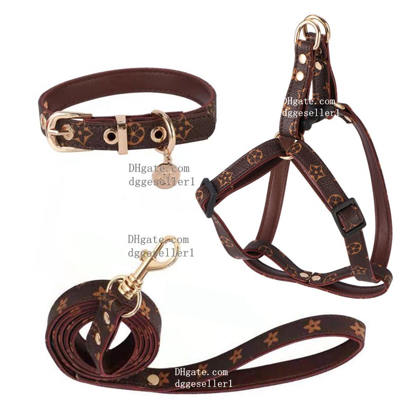 #5 Harness Collar Leash