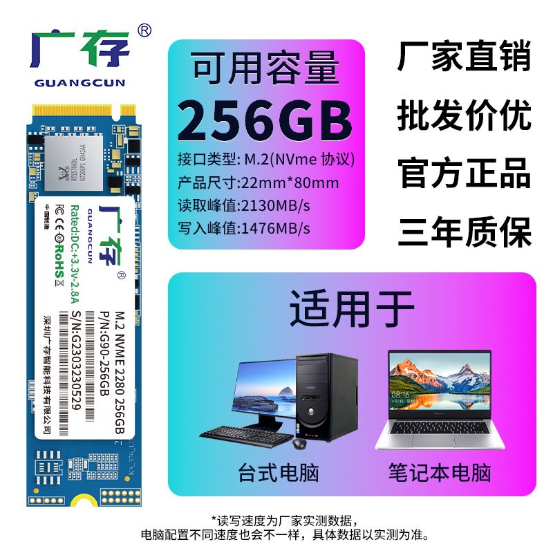 256 Go-M.2 NVME