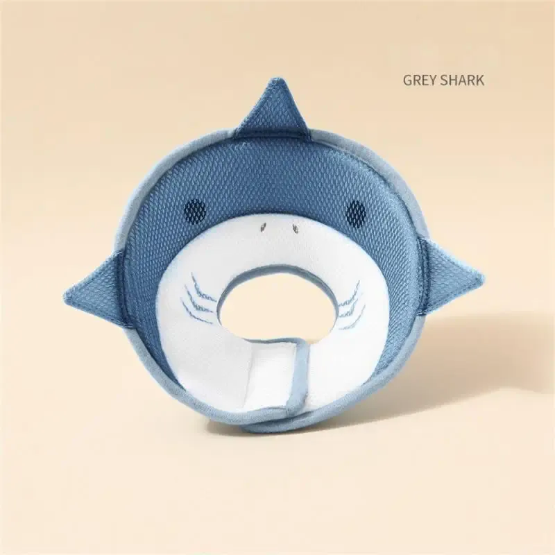 Gray Shark