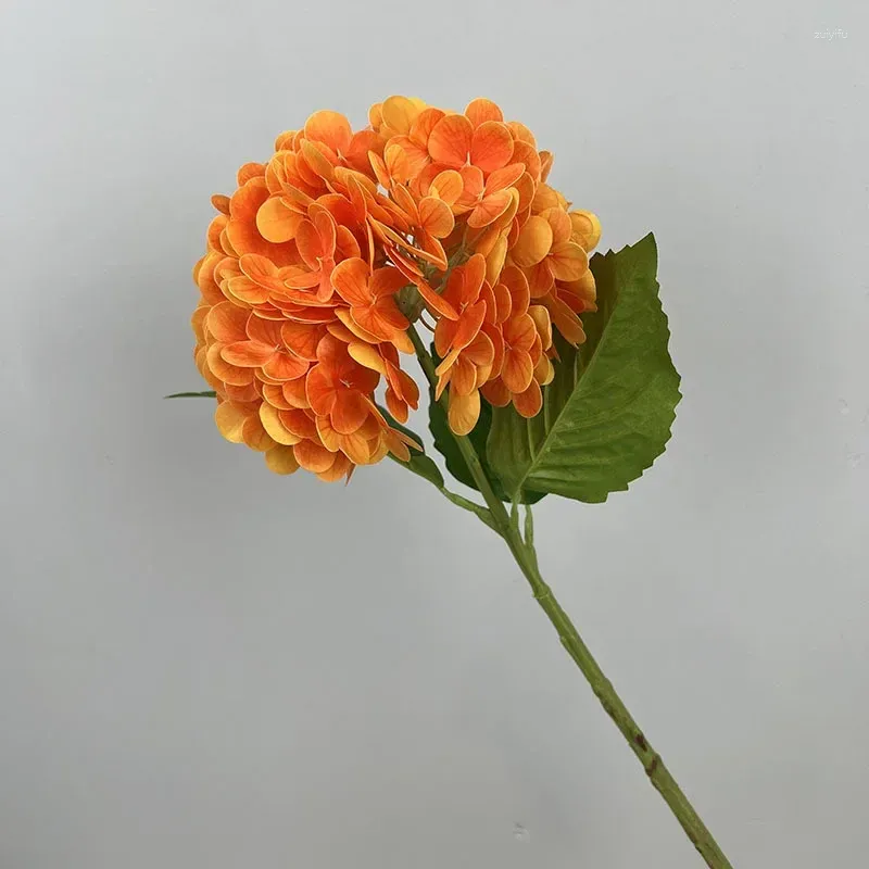 Oranje