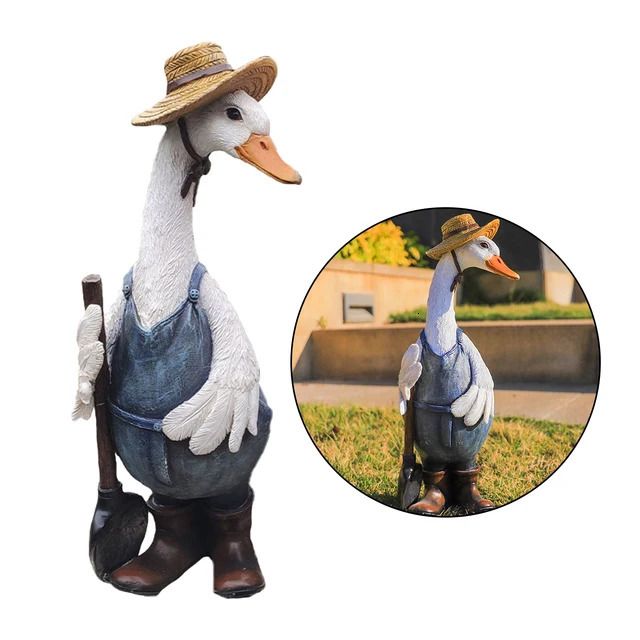 Male Duck