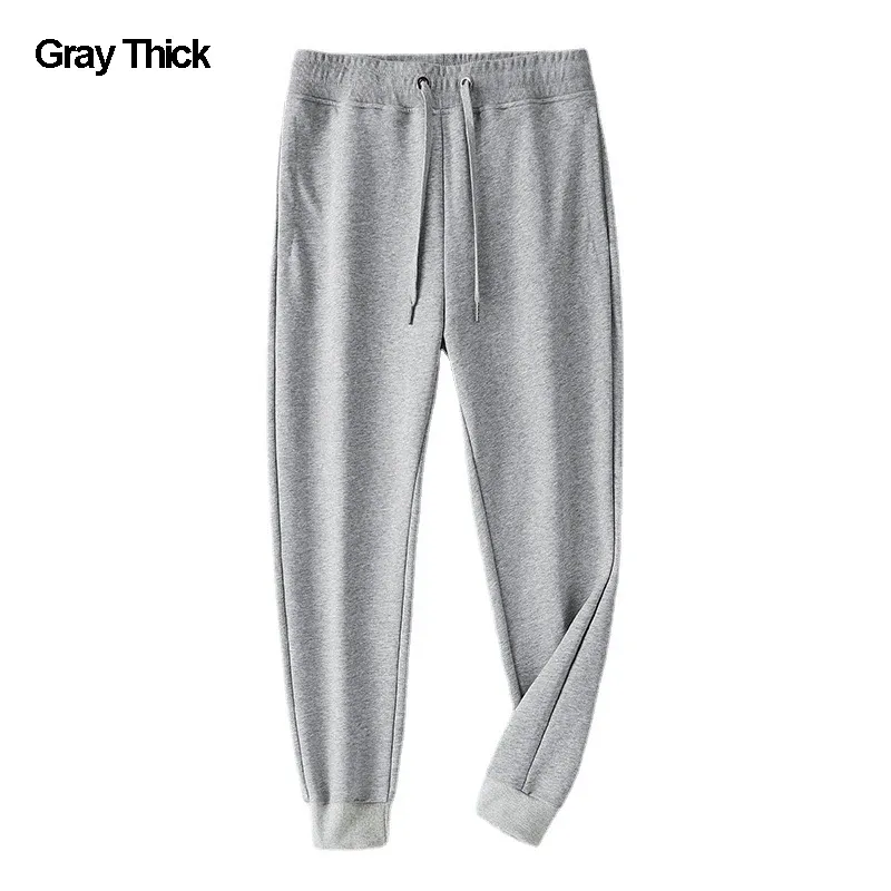 Gray Thick (Winter)