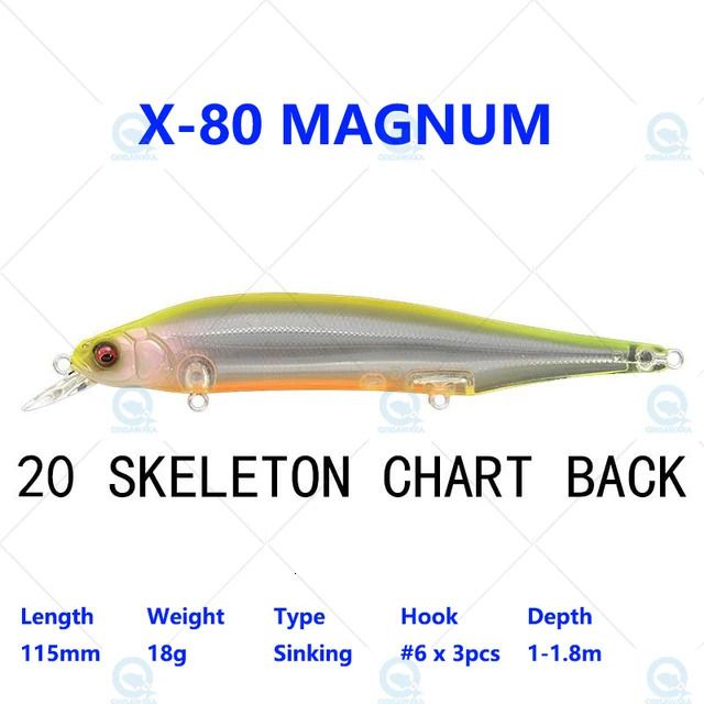 20 Skeleton Chart-X80 Magnum