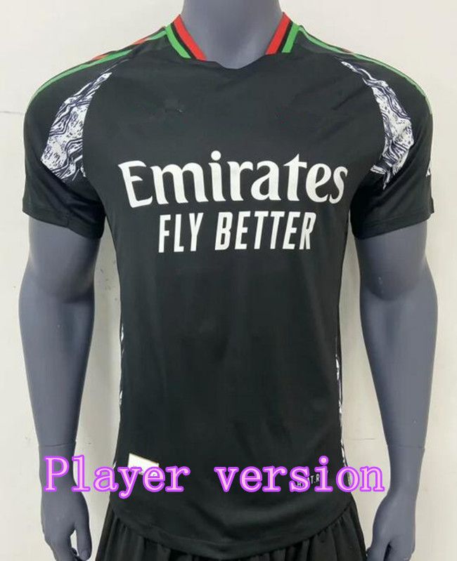 Player version