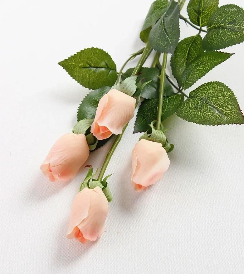 Champange Roses