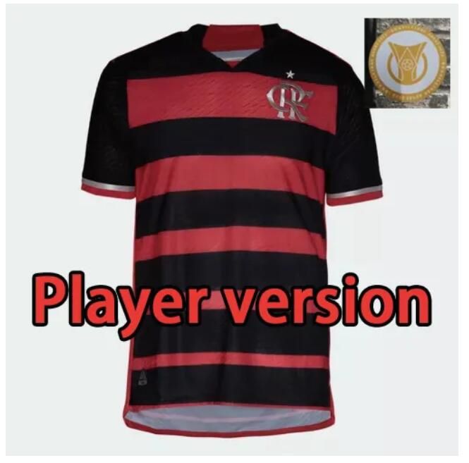 Player version home 1