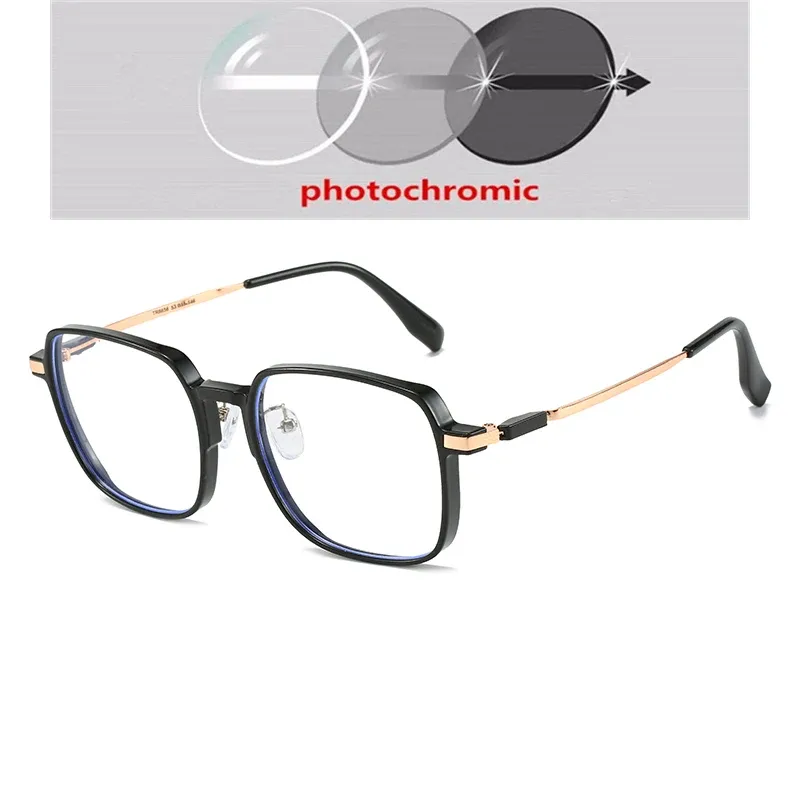 Photochromic Gray C1