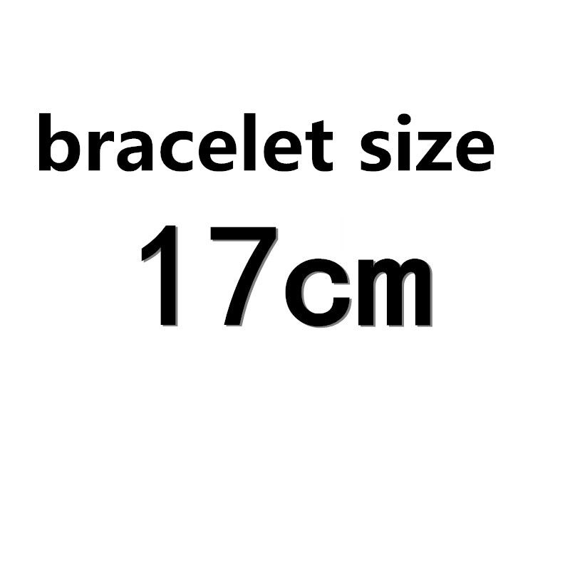 サイズ17cm