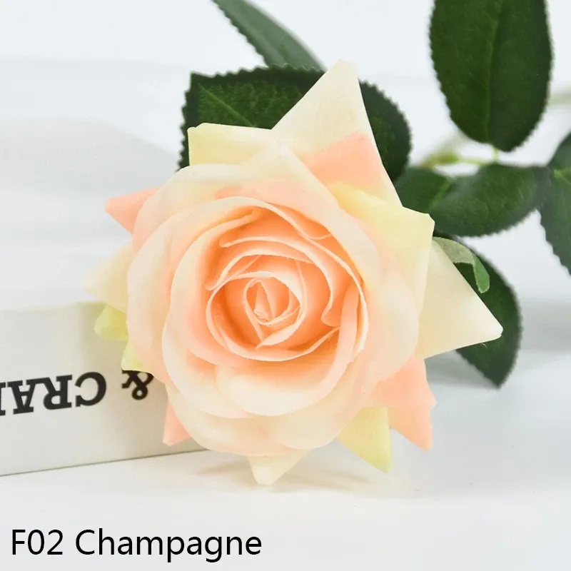 F02 Champagne