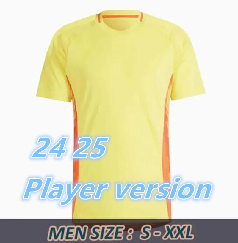 24 25 Home Player