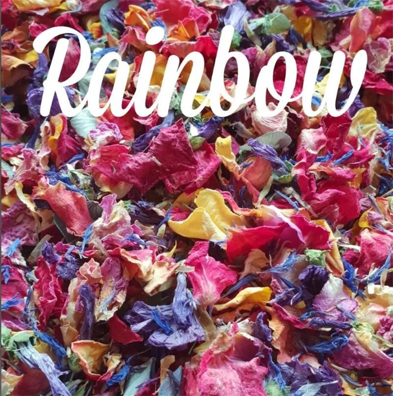 Rainbow Petals.