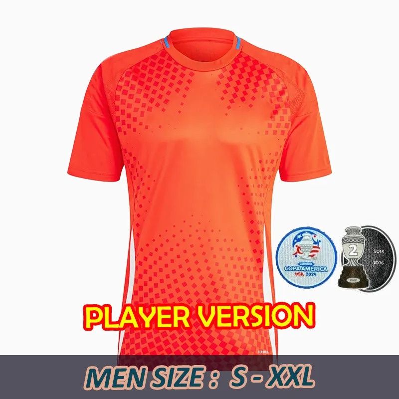 Home Player 2024 Patch