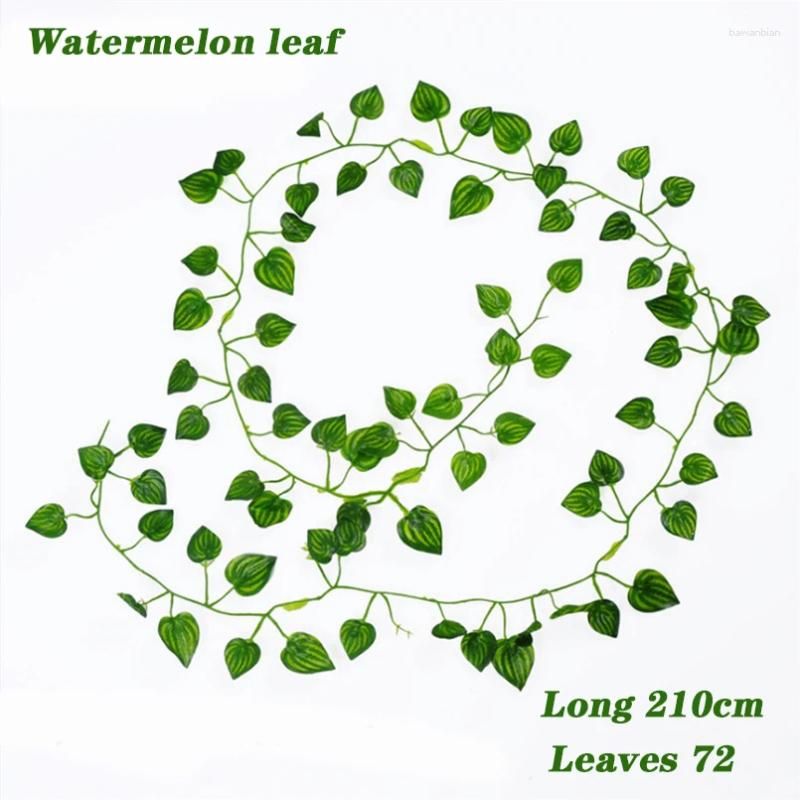 Wassermelonenblatt