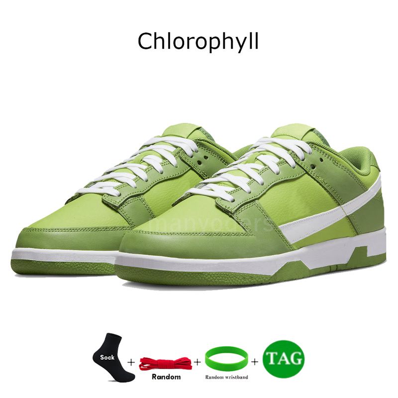 29 Chlorophyll