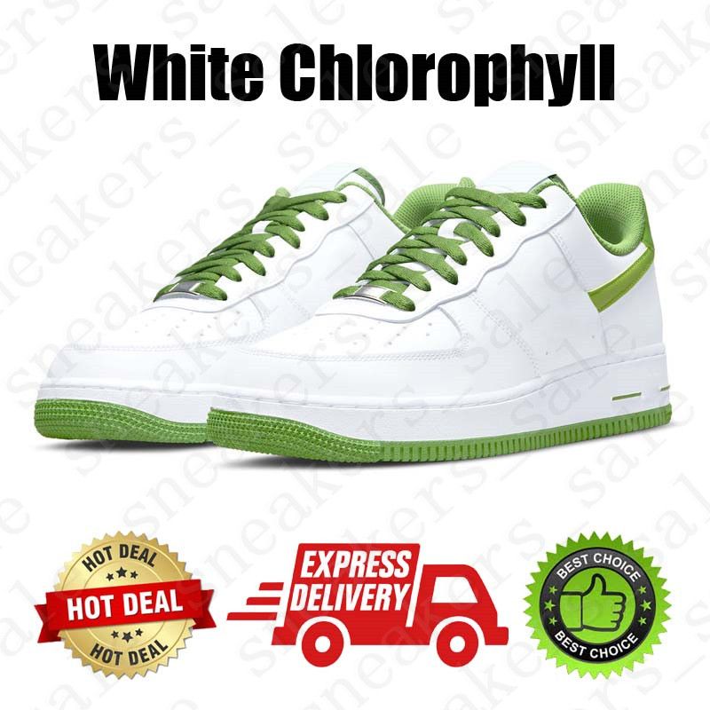 #32 Chlorophylle blanche