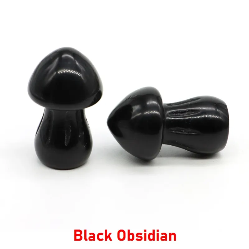 1 datorer svart obsidian
