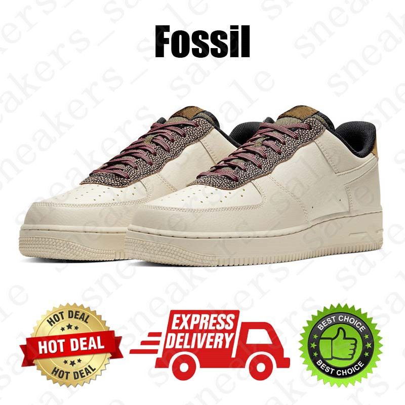 #18 fossil