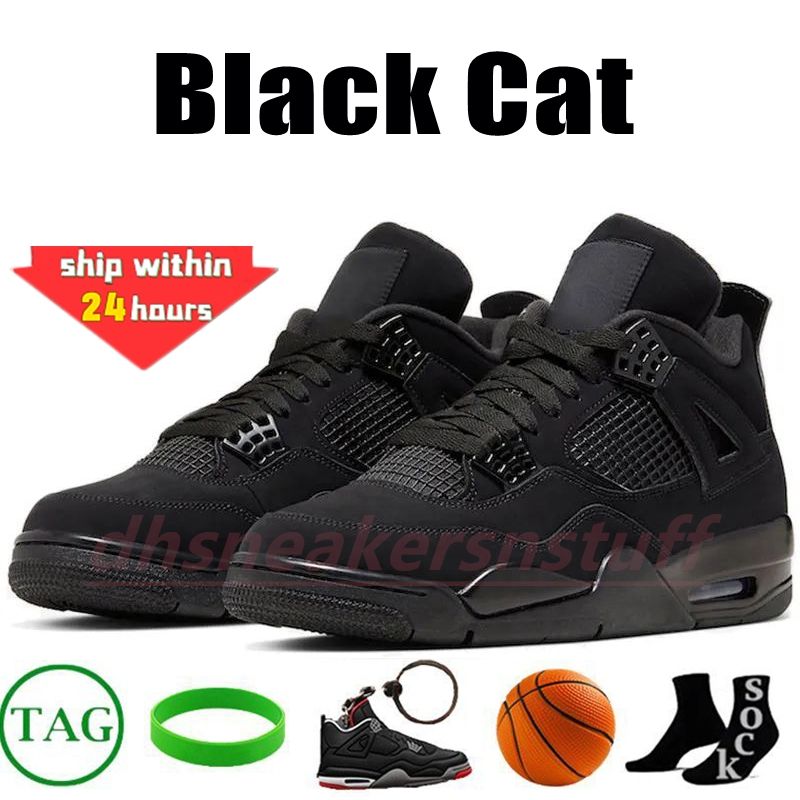 4 schwarze Katze