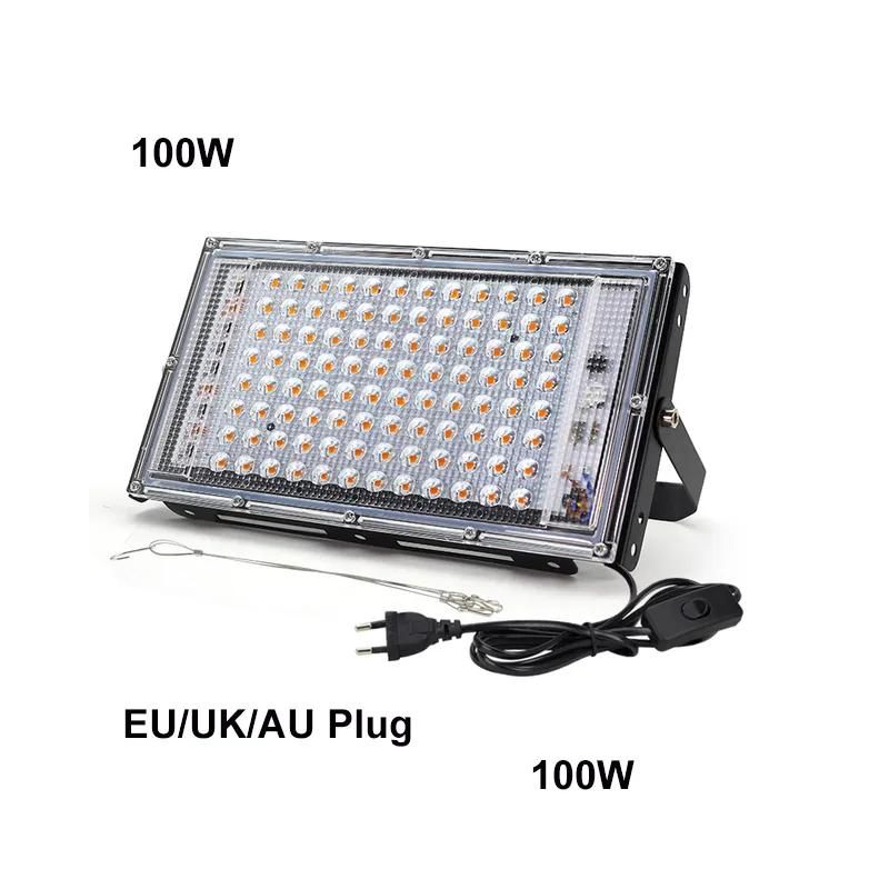 100W-UK-plug